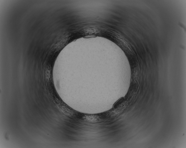 X0000097470417200803201452