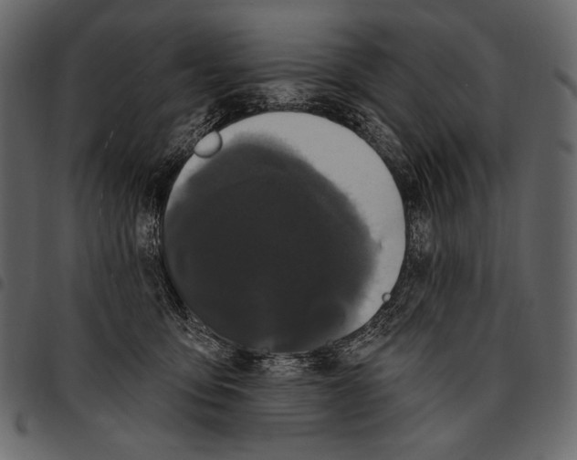 X0000097470419200803201452