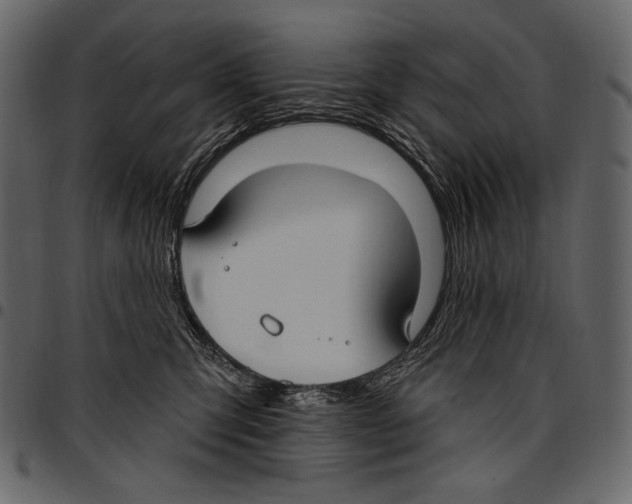 X0000097470423200803201452