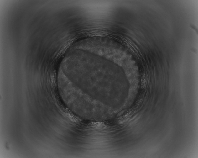 X0000097470424200803201452