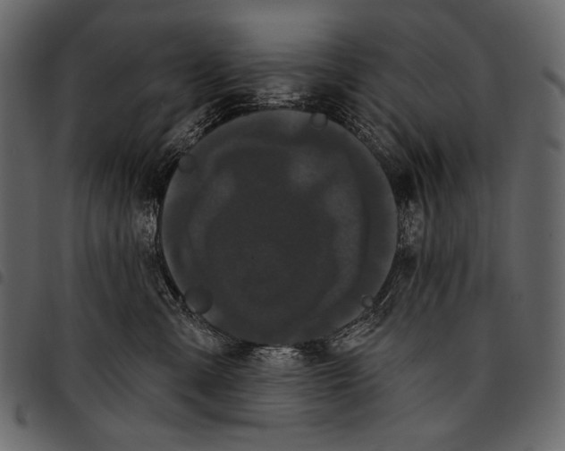 X0000097470427200803201452