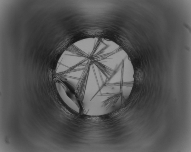 X0000097470428200803201452