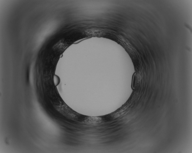 X0000097470429200803201452