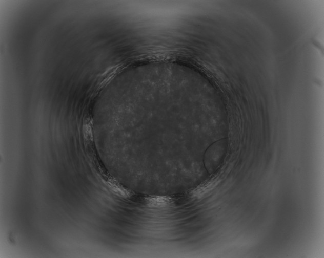 X0000097470432200803201452