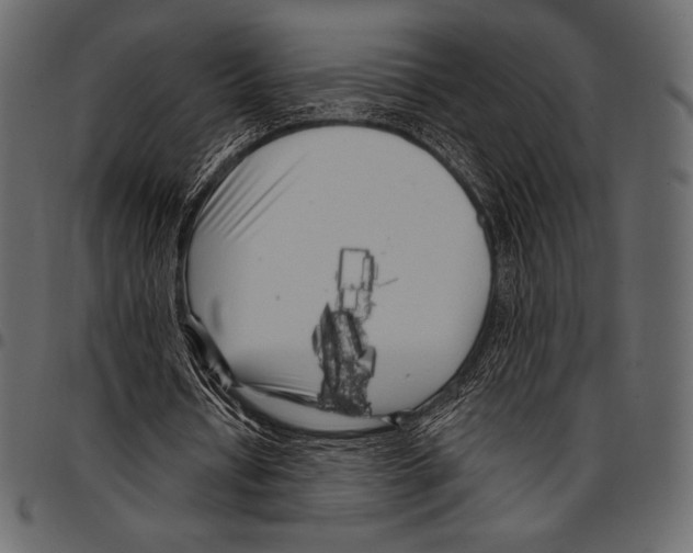 X0000097470434200803201451