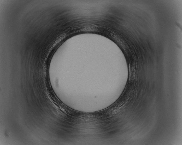 X0000097470435200803201451