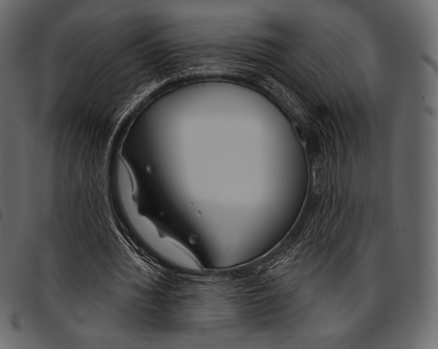 X0000097470436200803201451