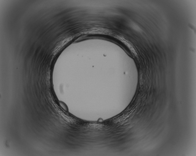 X0000097470437200803201451