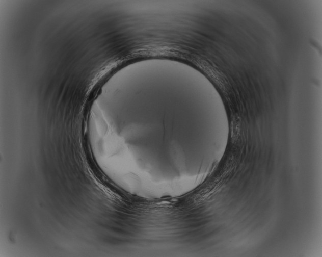 X0000097470438200803201451