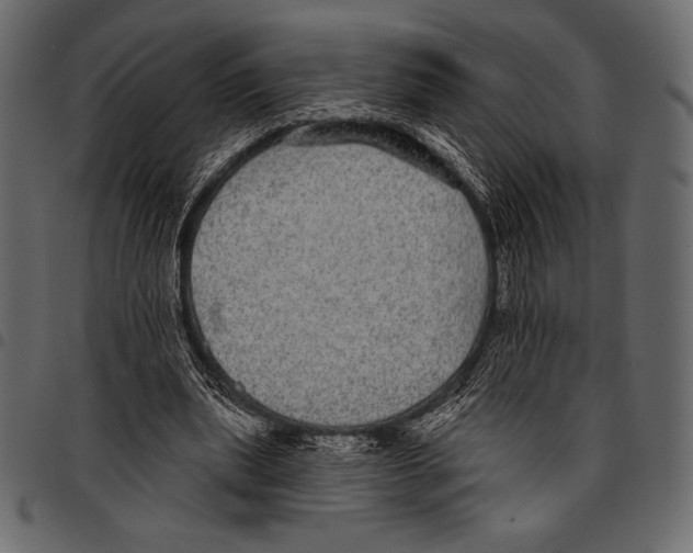 X0000097470439200803201451