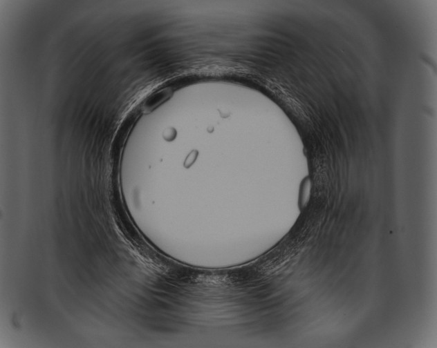 X0000097470440200803201451