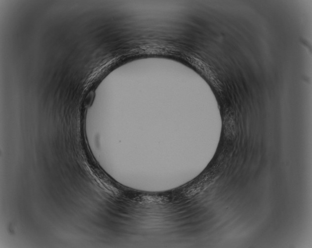 X0000097470442200803201451