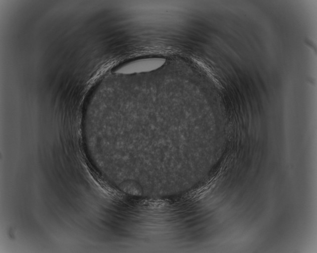 X0000097470443200803201451