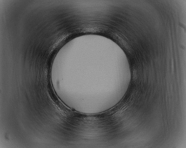 X0000097470444200803201451