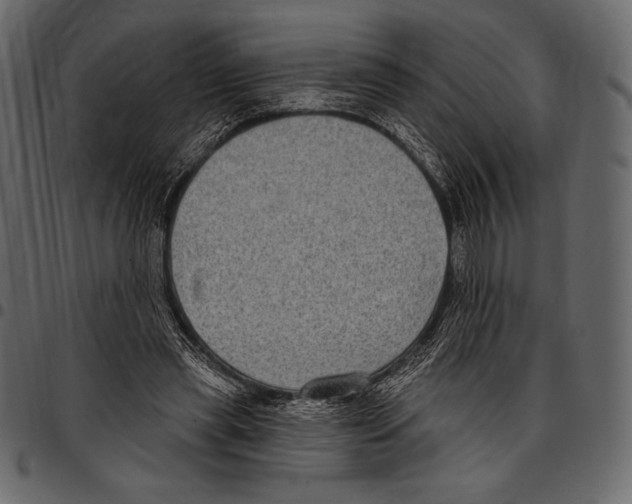 X0000097470445200803201451