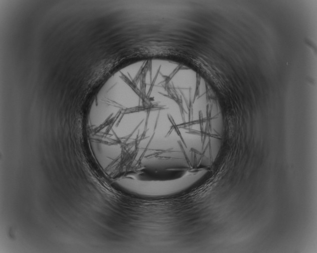 X0000097470447200803201451