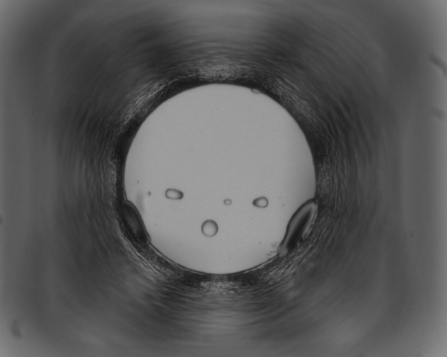 X0000097470448200803201451