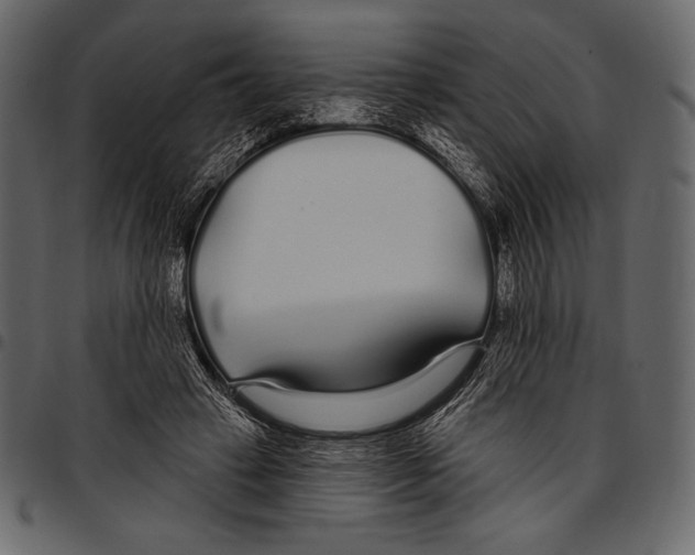 X0000097470449200803201451