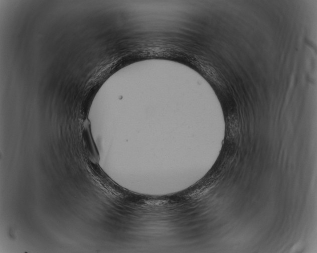 X0000097470450200803201451