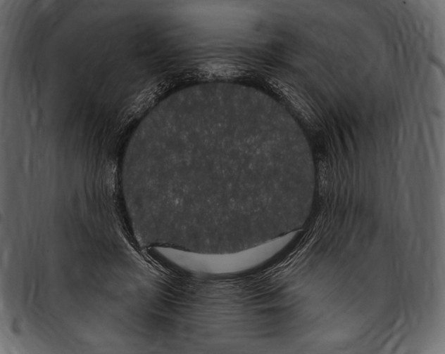 X0000097470451200803201451