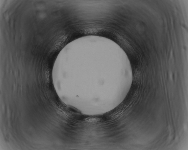 X0000097470452200803201451