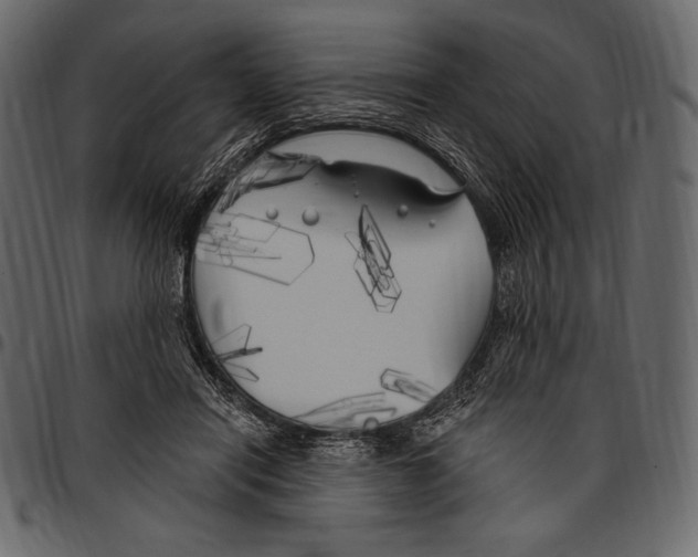 X0000097470454200803201451