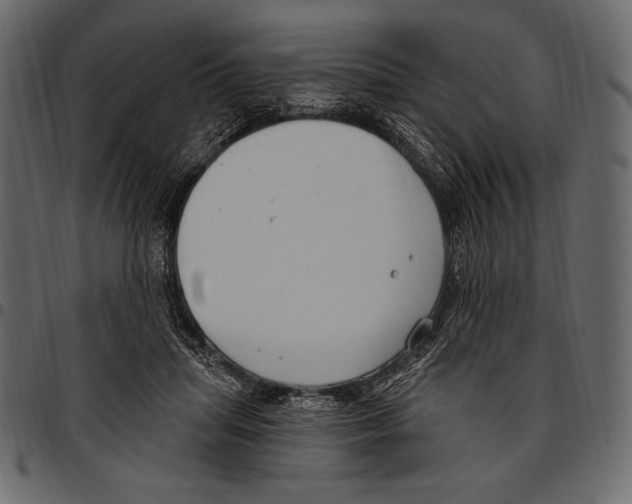 X0000097470455200803201451