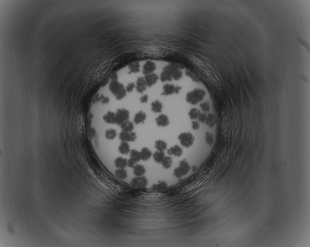 X0000097470459200803201451