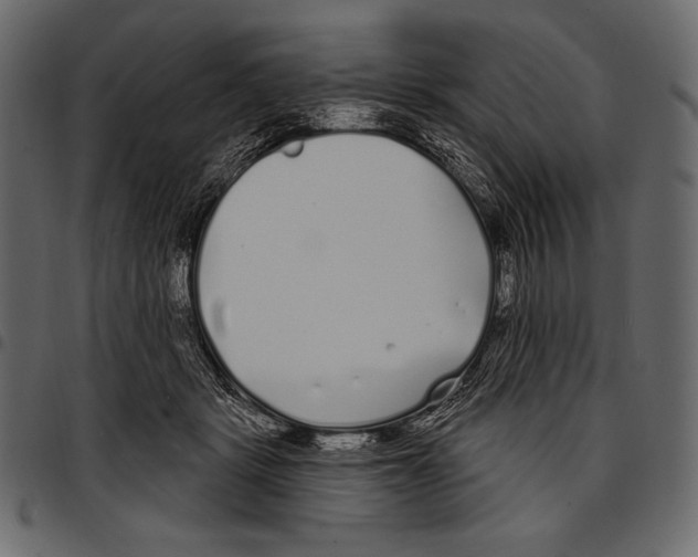 X0000097470461200803201451