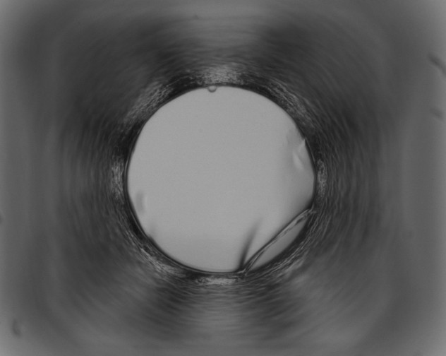 X0000097470462200803201451