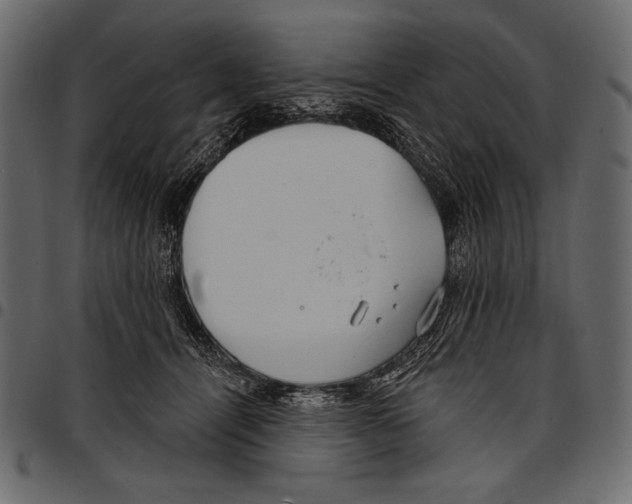 X0000097470464200803201451