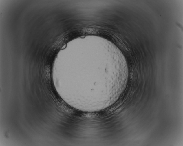 X0000097470466200803201451