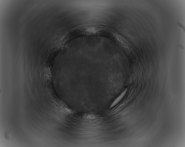 X0000097470467200803201451