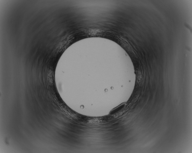 X0000097470470200803201451