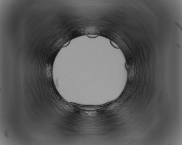 X0000097470478200803201452