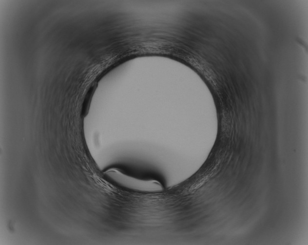 X0000097470481200803201451