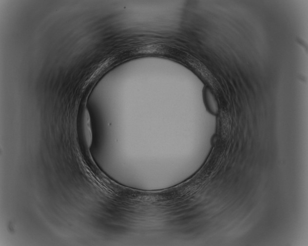 X0000097470482200803201451