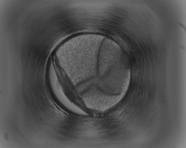 X0000097470484200803201451