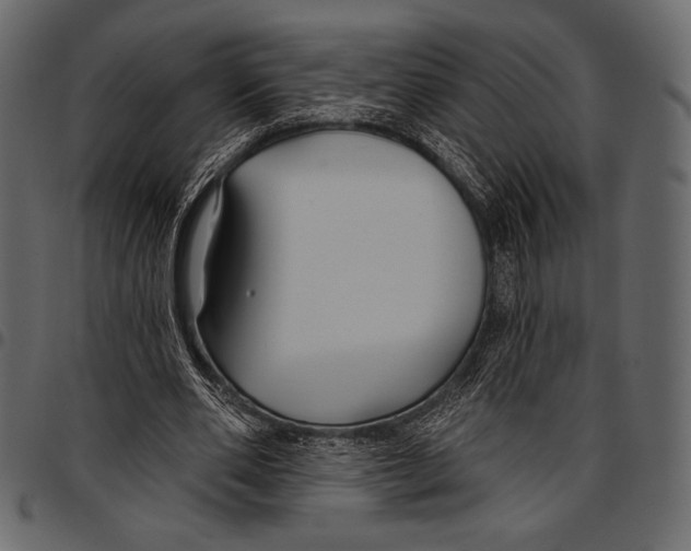 X0000097470486200803201451