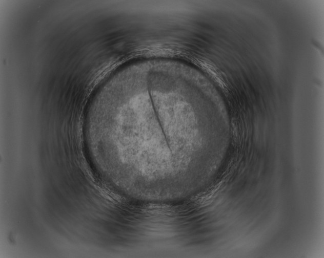 X0000097470487200803201451