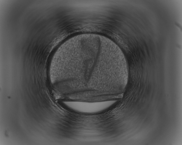 X0000097470488200803201451