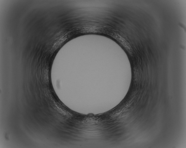 X0000097470489200803201451