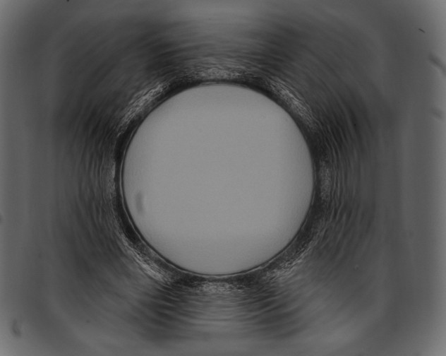 X0000097470490200803201451