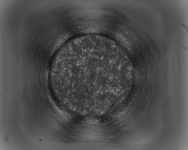 X0000097470491200803201451