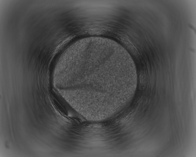 X0000097470492200803201451