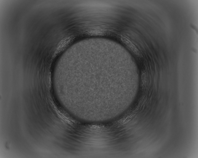 X0000097470494200803201451