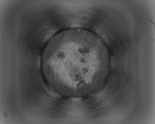 X0000097470495200803201451