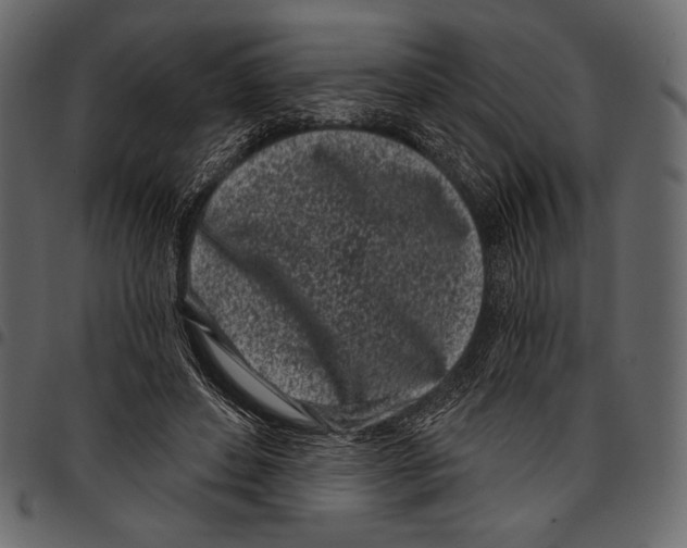 X0000097470496200803201451