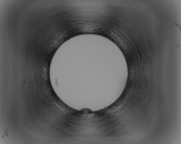 X0000097470497200803201451