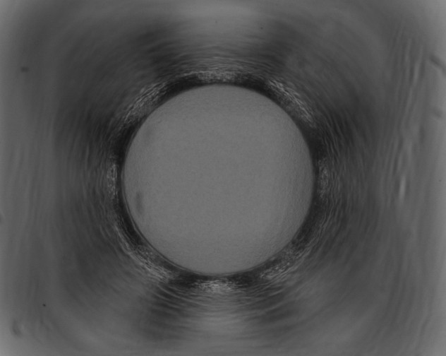 X0000097470498200803201451